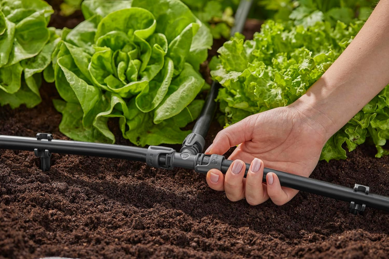 Gardena Micro-Drip-irrigatiesysteem T-stuk 13 mm (1/2"): connector voor 13 mm toevoerleidingen, T-tak, automatische irrigatie, herbruikbaar (13201-20)