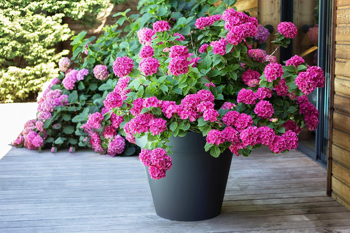 PLASTIC? Plastic bloempot, 76 liter, levendige kleuren, Zen, B 60 cm x H 47 cm