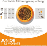 IAMS Delights Kitten Nassfutter - Multipack Katzenfutter mit Hunn in Sauce, hoogwaardige Futter für Junior Kätzchen von 1-12 Monate, 12 x 85 g