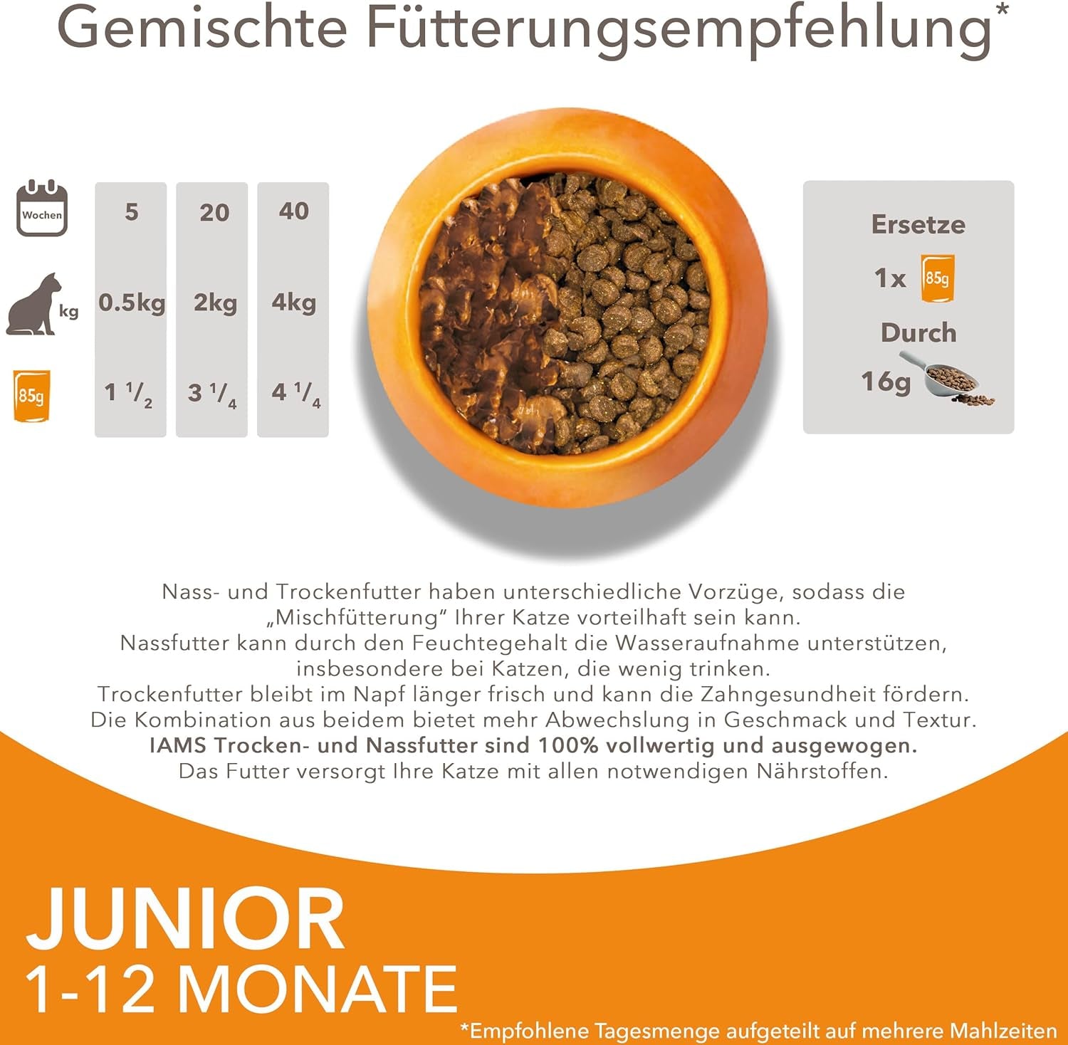 IAMS Delights Kitten Nassfutter - Multipack Katzenfutter mit Hunn in Sauce, hoogwaardige Futter für Junior Kätzchen von 1-12 Monate, 12 x 85 g