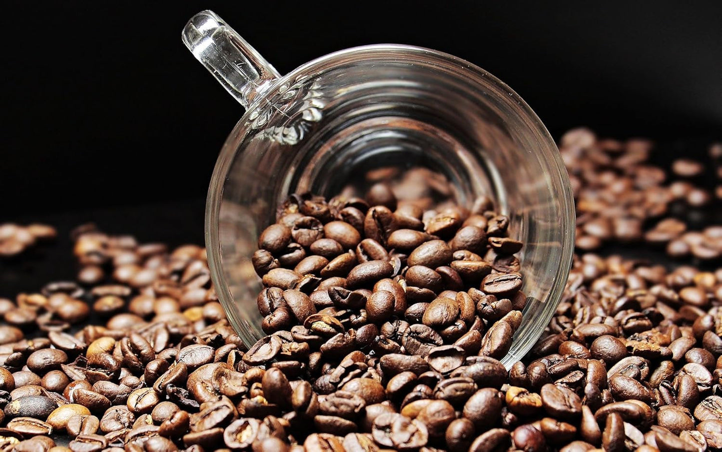 Speciale koffie uit Zuid-Amerika - Galapagos, het unieke ecosysteem van de eilanden (1000 gram, hele bonen) - single origin koffie - premium koffie - lage zuurgraad - licht gebrand en vers
