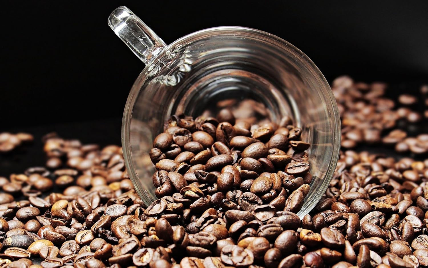 Speciale koffie uit Zuid-Amerika - Galapagos, het unieke ecosysteem van de eilanden (1000 gram, hele bonen) - single origin koffie - premium koffie - lage zuurgraad - licht gebrand en vers