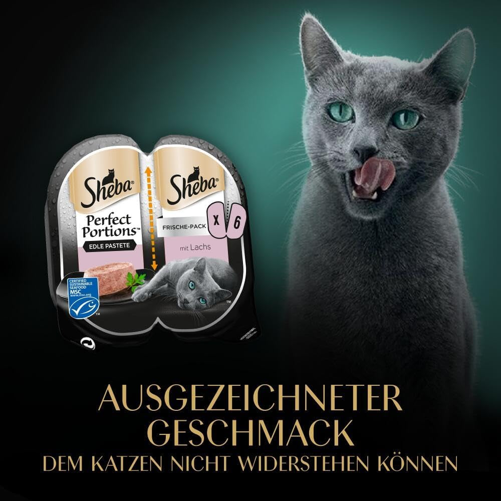 SHEBA Perfect PORTIONS paté voor katten met zalm, MSC gecertificeerd, 8 x 3 x (2 x 37,5 g) = 225 g (verpakking wordt bijgewerkt)