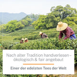 Ti Guan Yin Bio Oolong Thee 100g - Hoge kwaliteit biologische Oolong thee uit China - Wu Long (ceremoniële kwaliteit) - voor theeliefhebbers en kenners - Mycupoftea