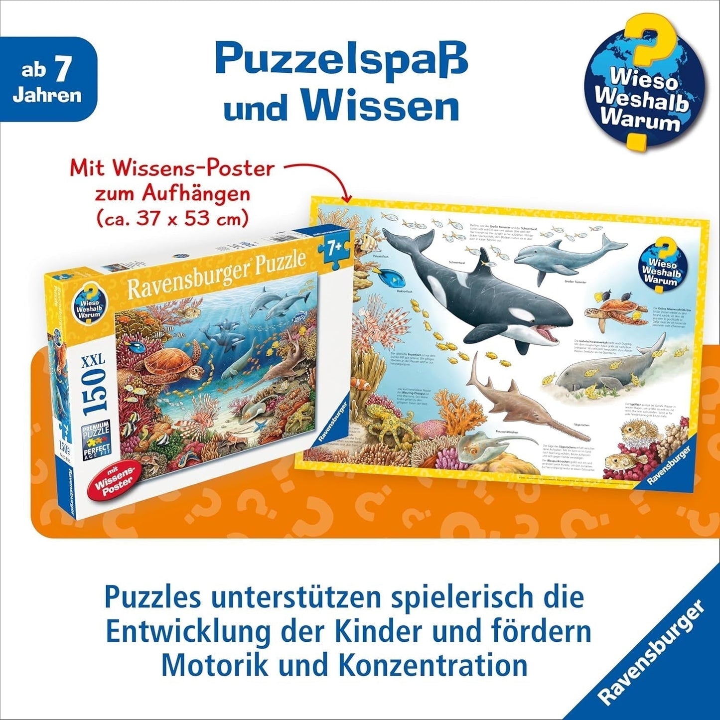 Ravensburger kinderpuzzel 13411 - Zeedieren op het koraalrif - Waarom? Waarom? Waarom? Puzzel 150 stukjes XXL + kennisposter, voor kinderen vanaf 7 jaar Puzzel Naty Shop