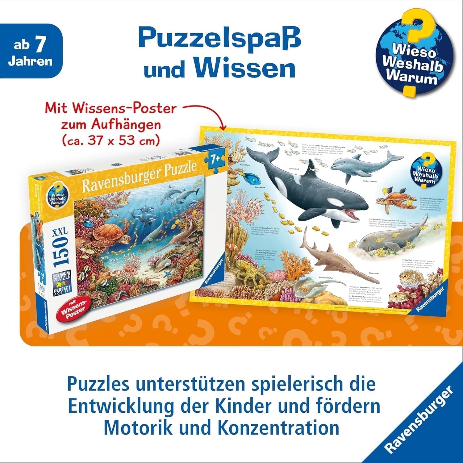 Ravensburger kinderpuzzel 13411 - Zeedieren op het koraalrif - Waarom? Waarom? Waarom? Puzzel 150 stukjes XXL + kennisposter, voor kinderen vanaf 7 jaar Puzzel Naty Shop
