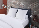 Anti-bedmijt- en bedwantskussen 60 X 60 cm Medium Comfort Multi Protect-kussen Zacht en beschermend Machinewasbaar op 40°C Naty Shop Standaardkussens Standaardtitel