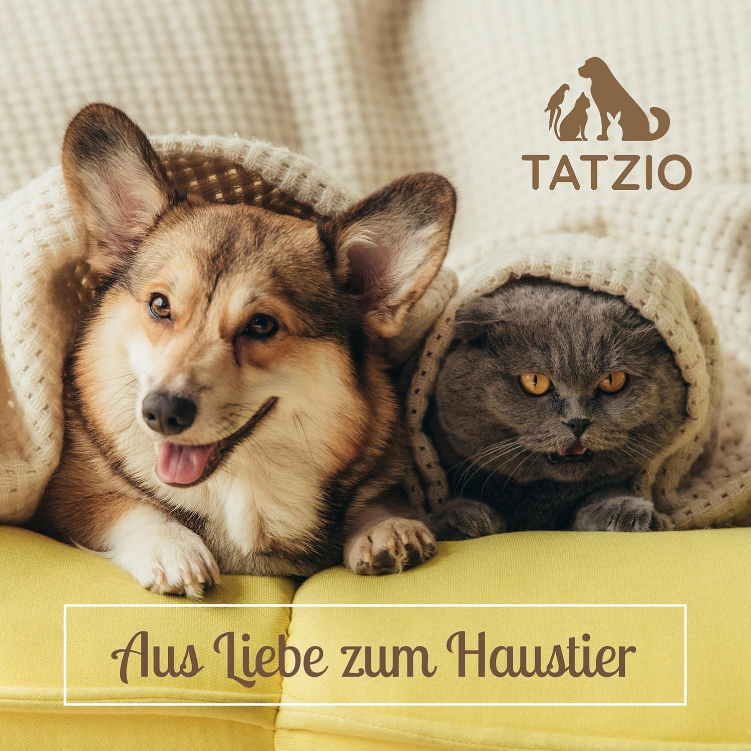 Dekens en meubels, Huisdieren, Grotten & Huizen, Katten, Kattenbedden, Katten - bedden, matrassen