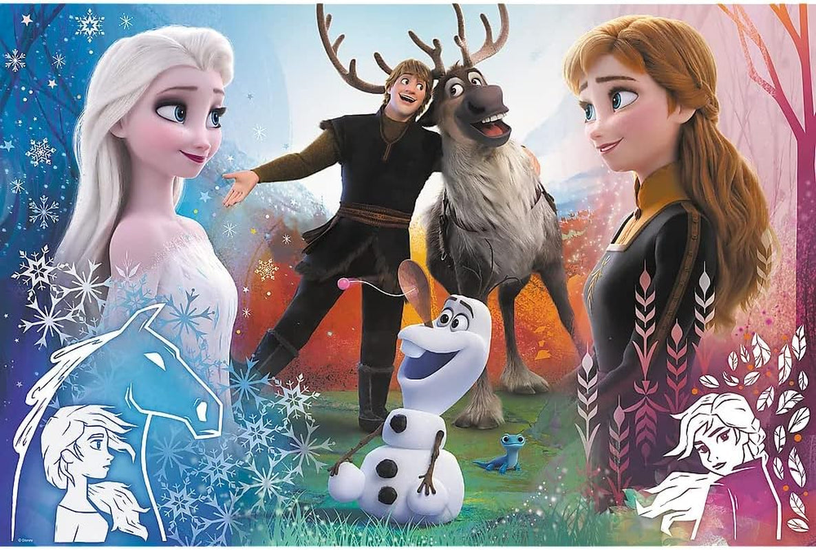 Trefl, Puzzel, Magical Time, Disney Frozen 2, 300 stukjes, Voor kinderen vanaf 8 jaar Puzzel Naty Shop
