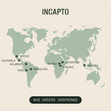 Selectie van Incapto koffiebonen wereldwijd | Selectie van 10 origines uit de hele wereld | Koffiespecialiteit | 100% Arabica | Ideaal als koffiecadeauset | Voor koffieliefhebbers | 10 pakken van 100 g