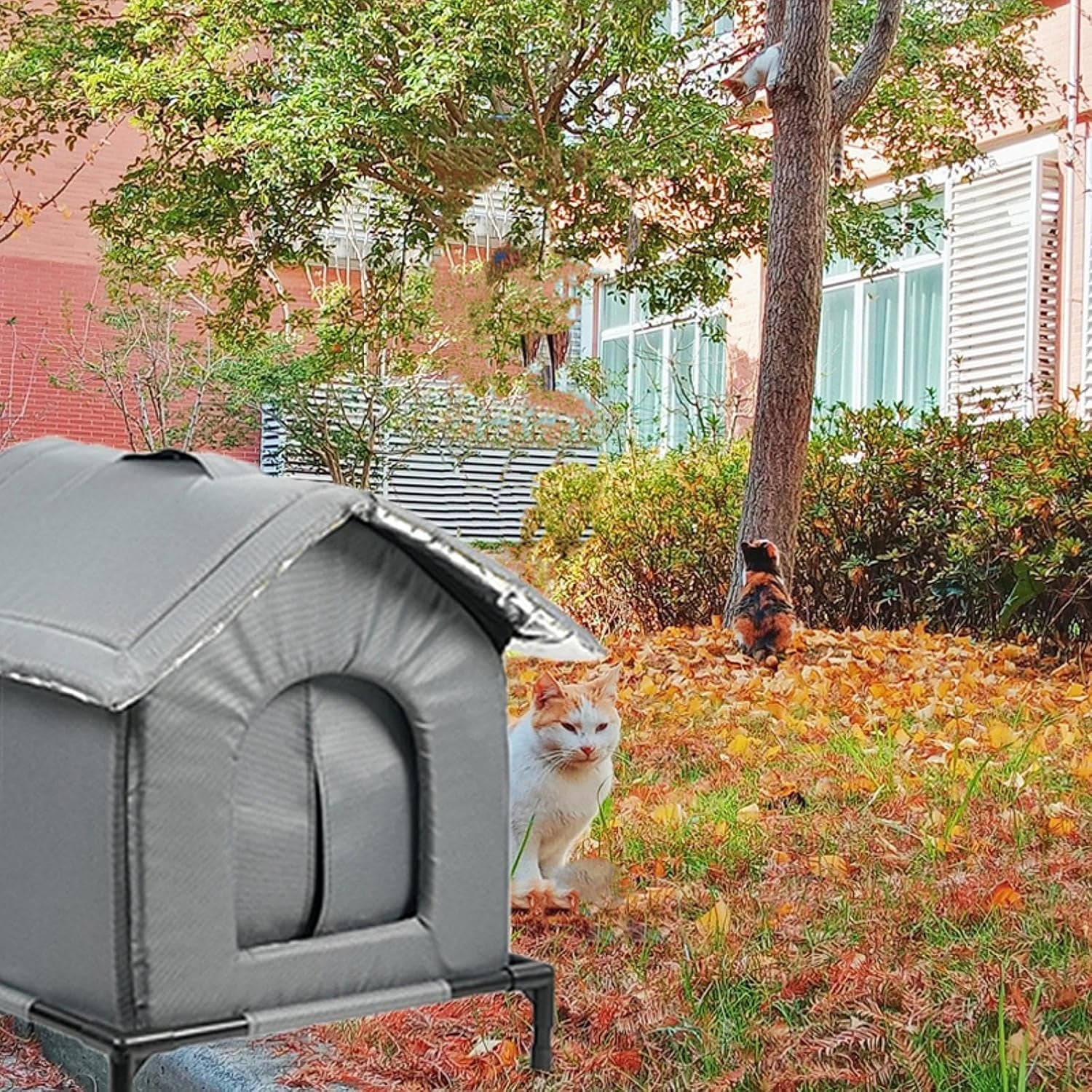 Dekens en meubels, Huisdieren, Grotten & Huizen, Katten, Kattenbedden, Katten - bedden, matrassen