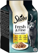 Sheba Portiezakjes Nat kattenvoer, vers en fijn kalkoen- en kipgelei multipack, 6x6x50g - Hoogwaardig kattenvoer met kalkoen en kipgelei