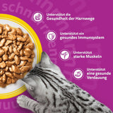 Whiskas 7+ Natvoer voor katten Selectie van gevogelte in saus 24 x 85 g (2 verpakkingen) - Hoogwaardig natvoer vanaf 7 jaar in 48 serveerzakjes