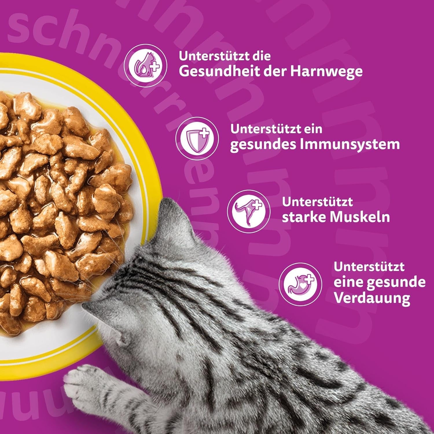 Whiskas 7+ Natvoer voor katten Selectie van gevogelte in saus 24 x 85 g (2 verpakkingen) - Hoogwaardig natvoer vanaf 7 jaar in 48 serveerzakjes
