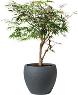 Scheurich Lineo, kunststof plantenbak, zwart graniet, diameter 30 cm, hoogte 24,1 cm, inhoud 11 l.