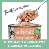 Zalmtonijn in gelei, compleet natvoer voor katten, ingeblikt, met toegevoegde vitaminen, 100% natuurlijk, 6 x 85 g