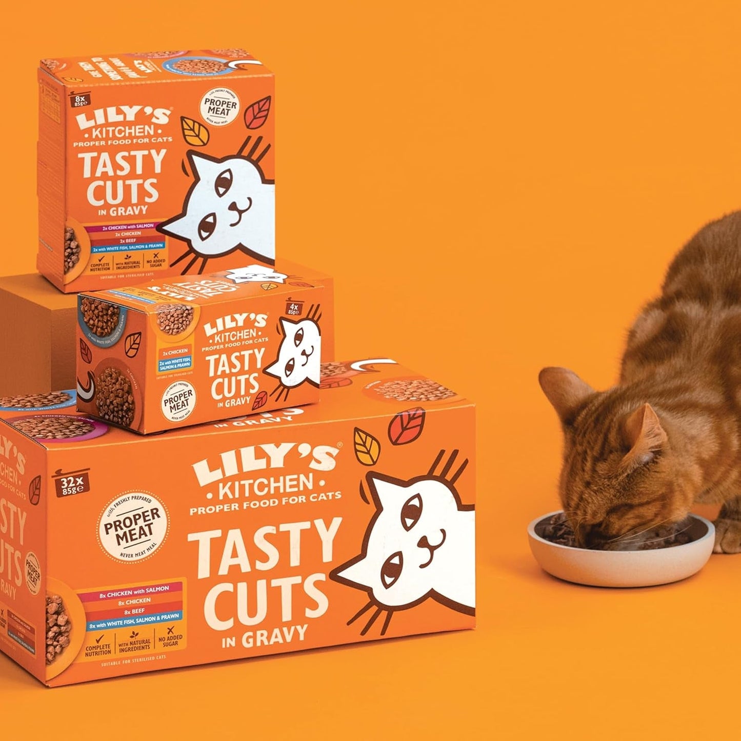 Lily's Kitchen, gemaakt met natuurlijke ingrediënten, heerlijke hapjes in kippensaus, natvoer voor volwassen katten, blik van 70 g