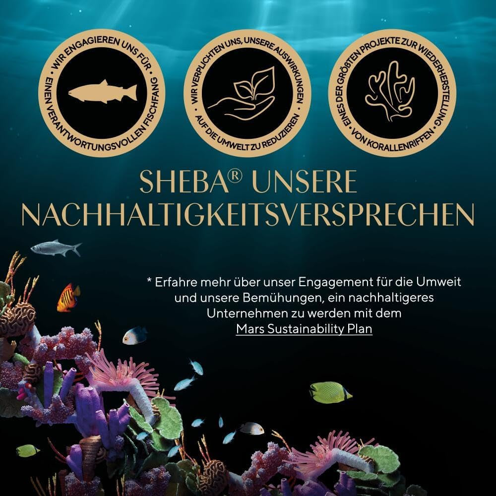 Sheba CATCARE Zak Nat Vers & FIJN (Vis) Stukjes in saus Volwassen 50g Multipack Standaard