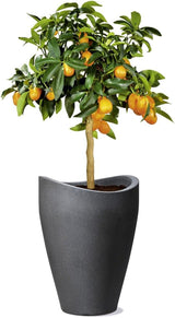 Scheurich Wave Globe High, hoge kunststof container, zwart graniet, diameter 29,8 cm, hoogte 40 cm, inhoud 6 l.
