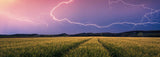 Ravensburger Nature Edition 17491 Summer Storm - Legpuzzel van 500 stukjes voor volwassenen en kinderen vanaf 12 jaar Puzzel Naty Shop Collage