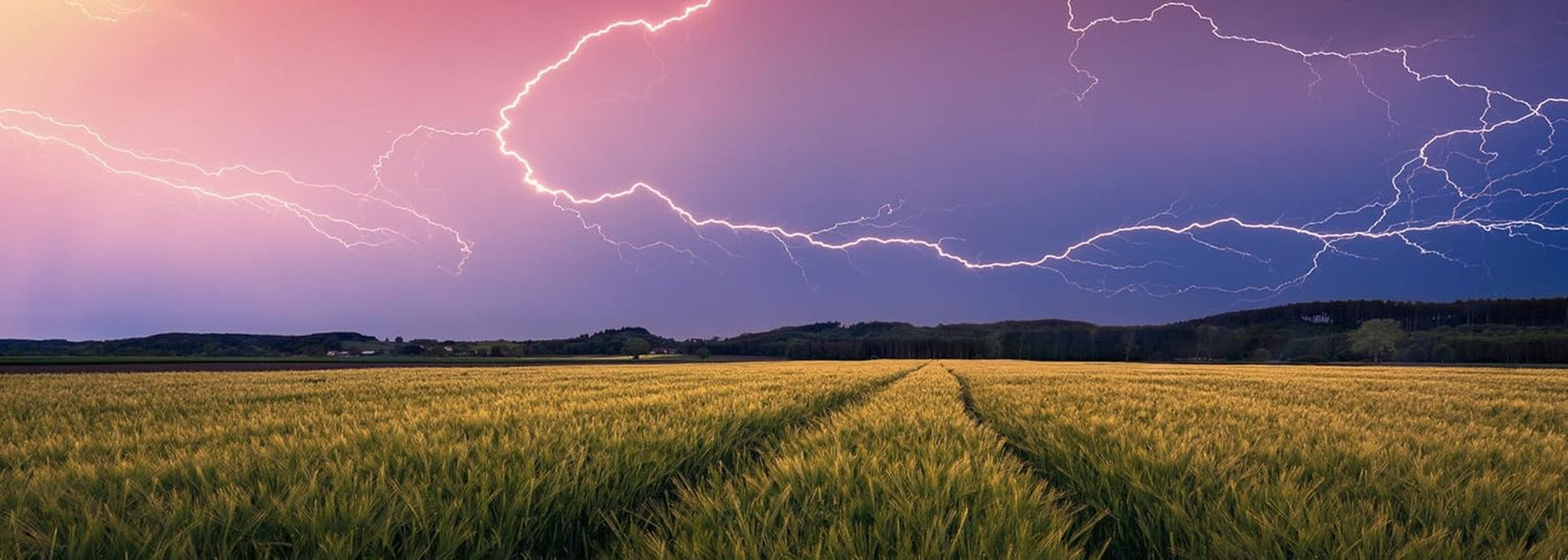 Ravensburger Nature Edition 17491 Summer Storm - Legpuzzel van 500 stukjes voor volwassenen en kinderen vanaf 12 jaar Puzzel Naty Shop Collage