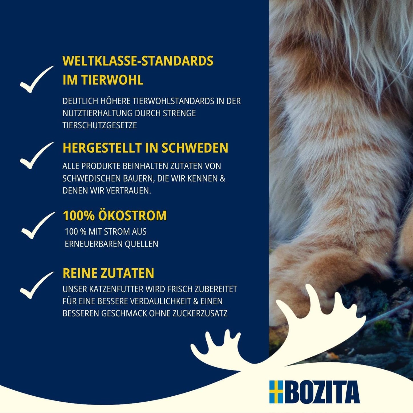Bozita Mousse MSC Zalm - 12 x 85g kattennatvoer met een fijne textuur van mousse en zalm - graanvrije receptuur, geen toegevoegde suikers of kleurstoffen - met postbiotica ter ondersteuning van de darmflora