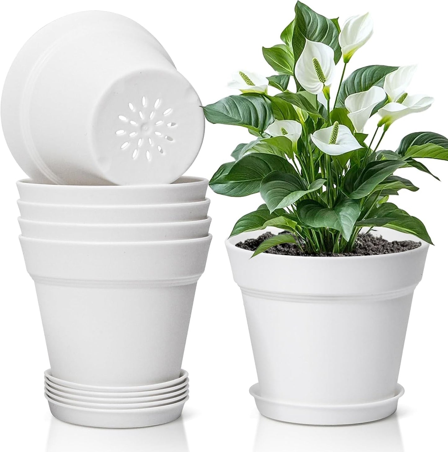 T4U 16 cm plastic bloempot met schotel, set van 6 plastic kruidenpotten met meerdere afvoergaten, ronde pot voor binnen en balkon vetplanten, cactussen, wit