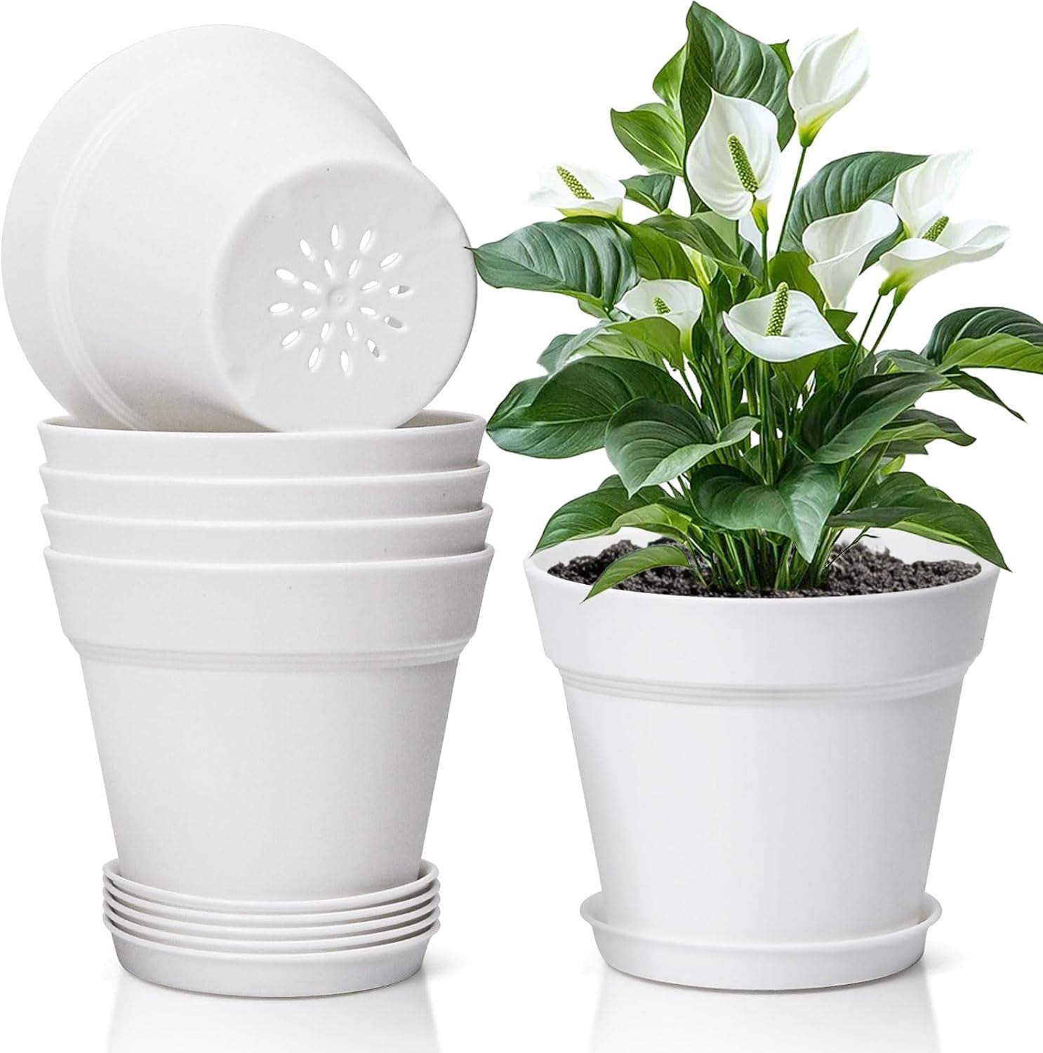 T4U 16 cm plastic bloempot met schotel, set van 6 plastic kruidenpotten met meerdere afvoergaten, ronde pot voor binnen en balkon vetplanten, cactussen, wit