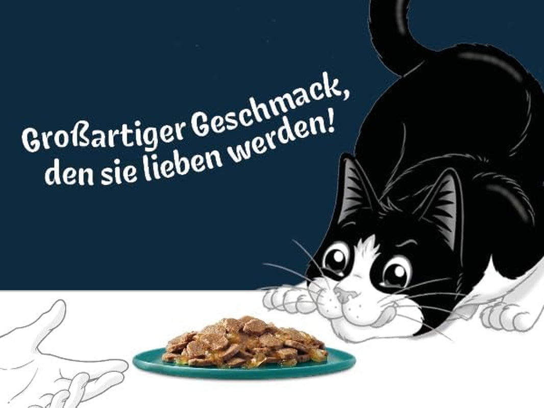 Felix Delicious Nat gesneden kattenvoer in gelei, verschillende smaken uit water, verpakking van 6 (6 x 10 zakjes van elk 80 g)