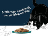 Felix Delicious Nat gesneden kattenvoer in gelei, verschillende smaken uit water, verpakking van 6 (6 x 10 zakjes van elk 80 g)