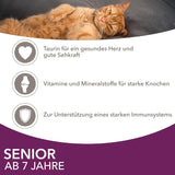 IAMS Delights Natvoer voor oudere katten - Multipack met kip en vis in saus, hoogwaardig natvoer voor katten ouder dan 7 jaar, 12 x 85 g