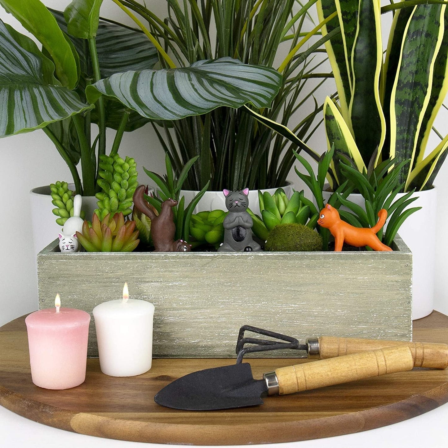 Gift Republic Mini-bloempot Yoga Katten, Veelkleurig, 1