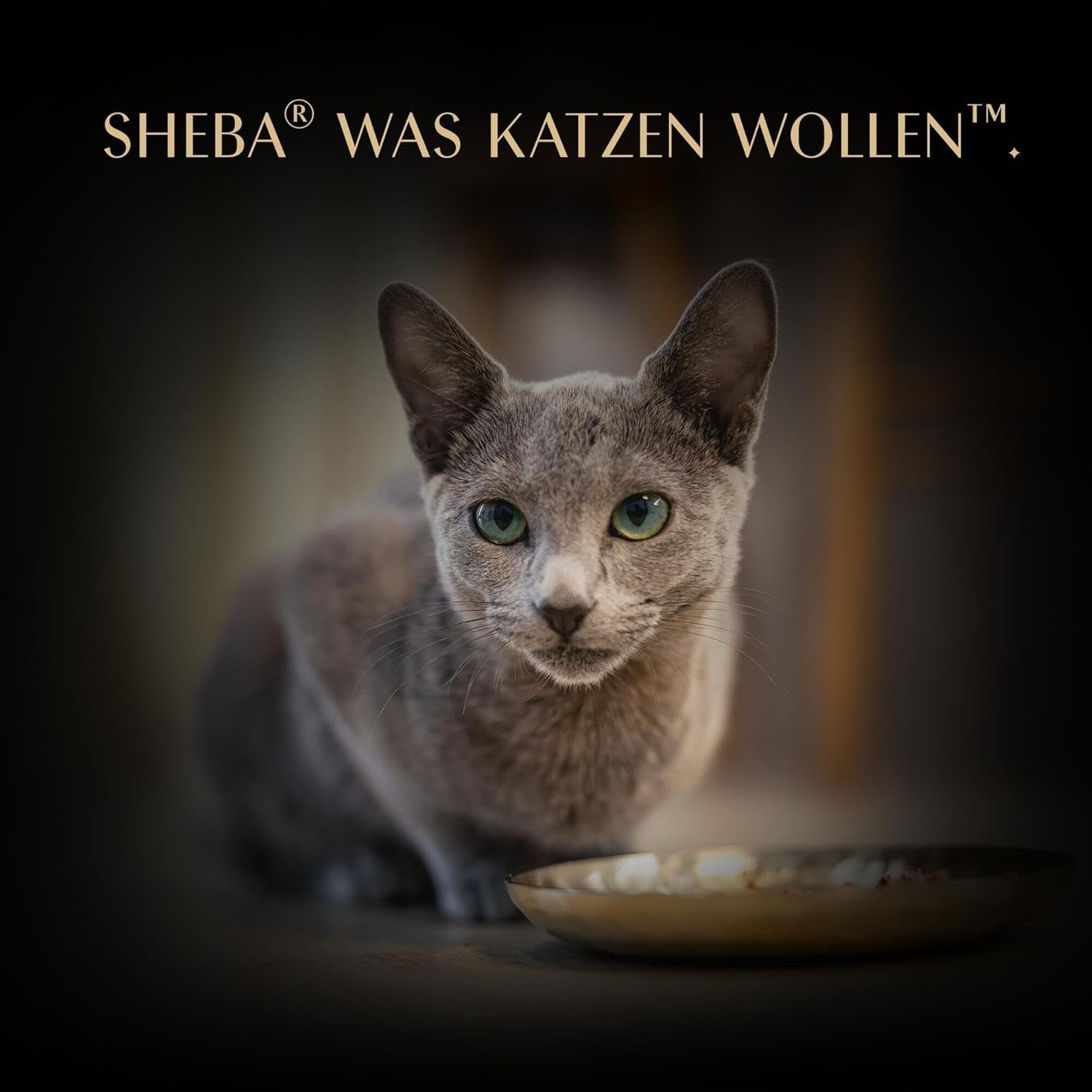 SHEBA Filets Volwassen Katzenfutter in Saus met Kip, Hochseefisch en Garnelen 16 x 60g Shell