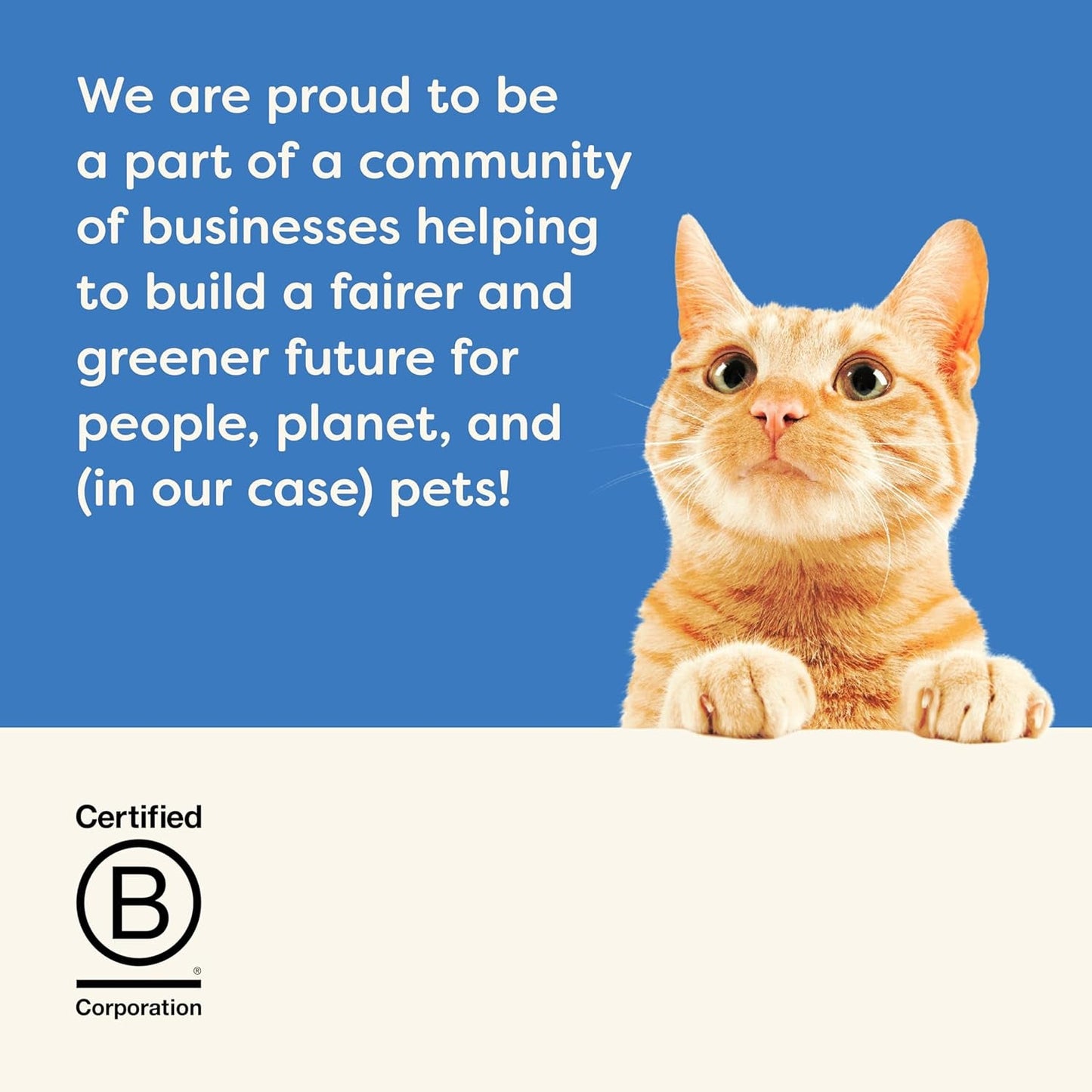 Applaws 100% natuurlijk kattennatvoer - visgratensoep met tonijn, 12 filterzakjes x 85 g