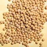 Wholefood Earth soja - non-GMO - natuurlijk - vegan - zuivelvrij - geen toegevoegde suikers 1 kg