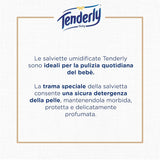 Disney babydoekjes, zachte doekjes, ideaal voor de dagelijkse babyreiniging, Disney-personages, 12 stuks, gemaakt in Italië, dermatologisch getest