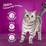 Whiskas 1+ natvoer voor katten met kip in gelei, 28x85g (1 pakje) - Hoogwaardig natvoer voor volwassen katten in 28 zakjes