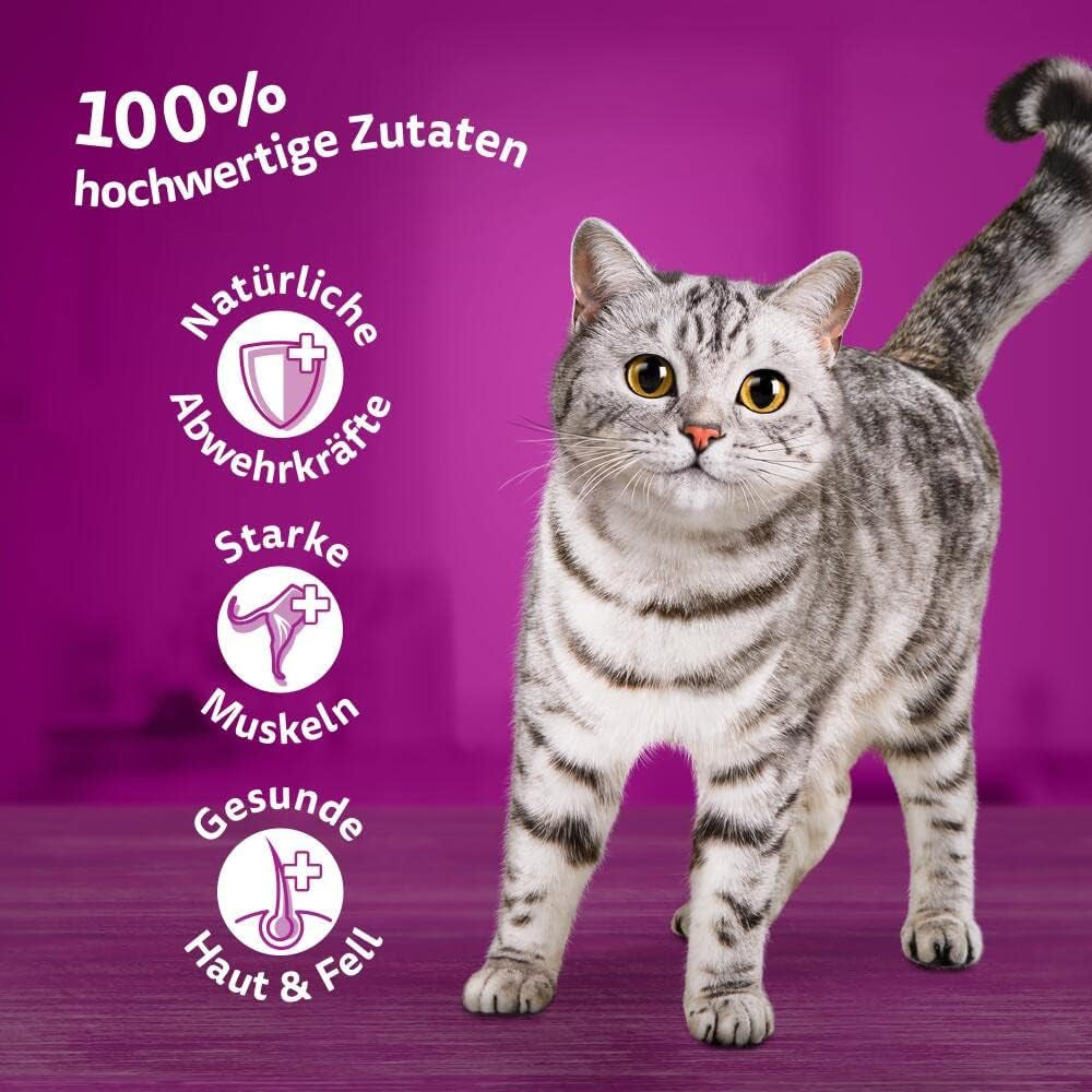 Whiskas 1+ natvoer voor katten met kip in gelei, 28x85g (1 pakje) - Hoogwaardig natvoer voor volwassen katten in 28 zakjes