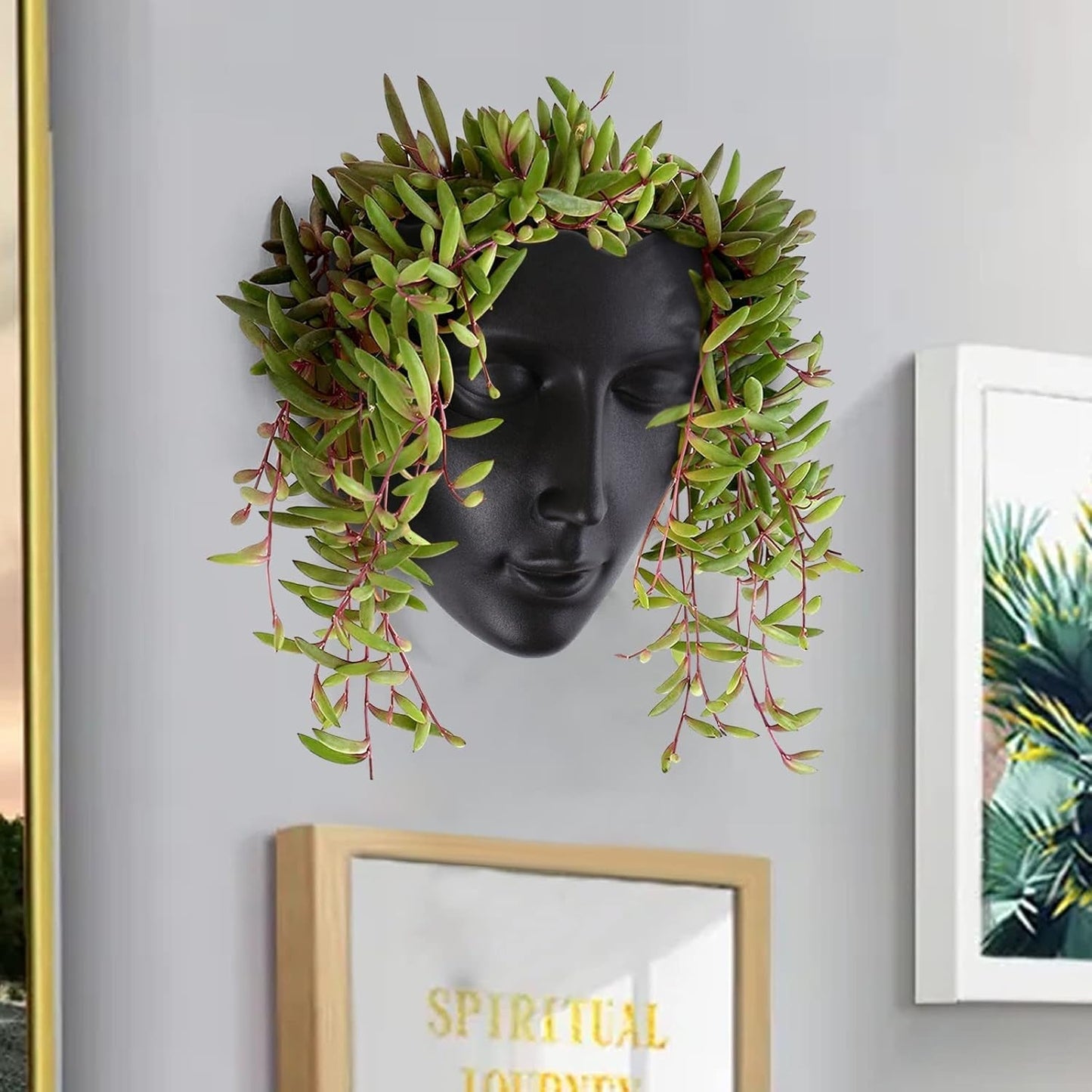 Notakia gefacetteerde wandgemonteerde binnen-buiten plantenbak met afvoer voor vetplanten, cactussen en kleine planten, unieke huisdecoratie, cadeau voor vrienden en familie