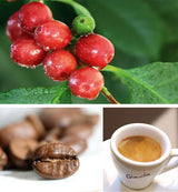 Gimoka - Compatibel voor Nescafè - Dolce Gusto - 64 Kapsel - Romige Smaak - Intensität 10 - Made In Italy - 4 Packungen Zu 16 Kapseln
