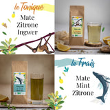ORIGEENS BIO MATE TEA GIFT SET X4 I Yerba Mate Bio 4X80G I Yerba Mate theeservies, cadeau-idee