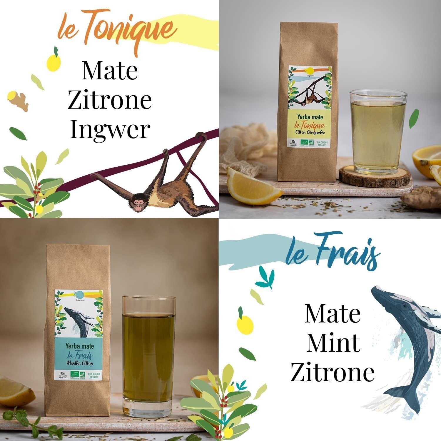 ORIGEENS BIO MATE TEA GIFT SET X4 I Yerba Mate Bio 4X80G I Yerba Mate theeservies, cadeau-idee