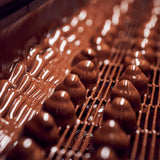 Chocolade met melkchocolade en hazelnootvulling, doos van 200 g