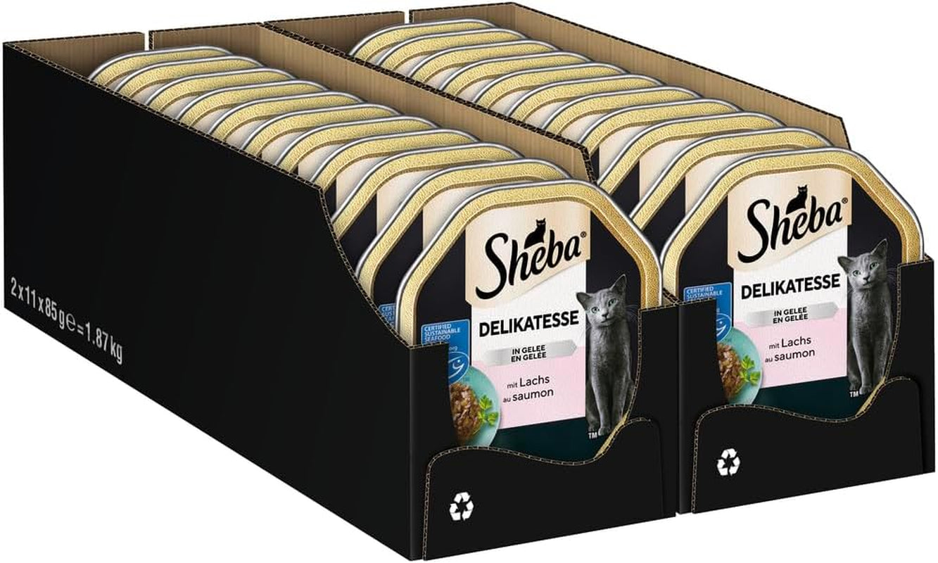 Sheba natvoer voor katten, delicaat in zalmgelei, 2 x 11 x 85 g