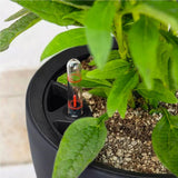 Plantenbak LECHUZA Classico Kleur LS leigrijs met irrigatiesysteem |Ø 35 × 32 cm|14281