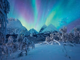 Ravensburger puzzel 12000802 - Wenn Die Nordlichter Tanzen - 1500 stukjes puzzel voor volwassenen 14+ puzzel Naty Shop standaardtitel