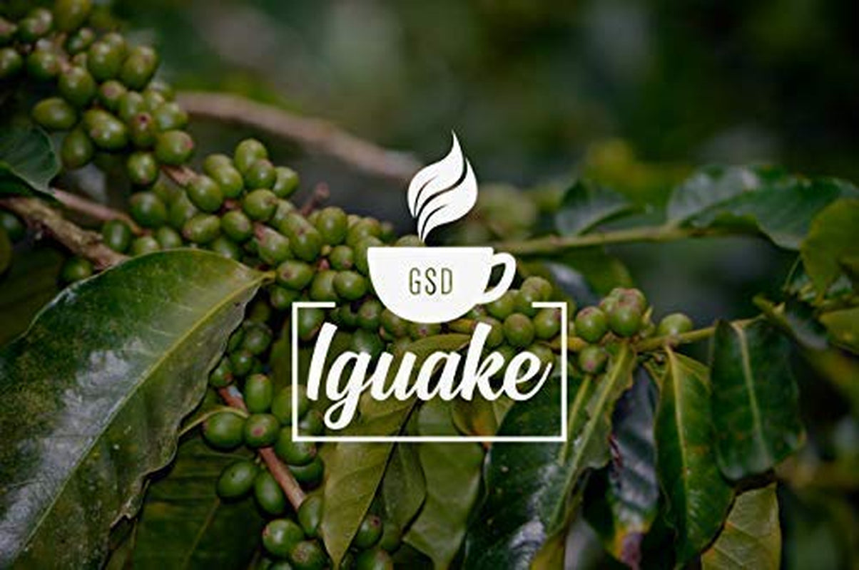 Iguaque Koffie 1000gr | Premium Kaffeeganze Bohnen 100% Arabica uit Colombia | Familiebetrieb - Single Origin Kaffeebohnen - Nachhaltige eigene Plantage im Hochland - Kräftiges Aroma