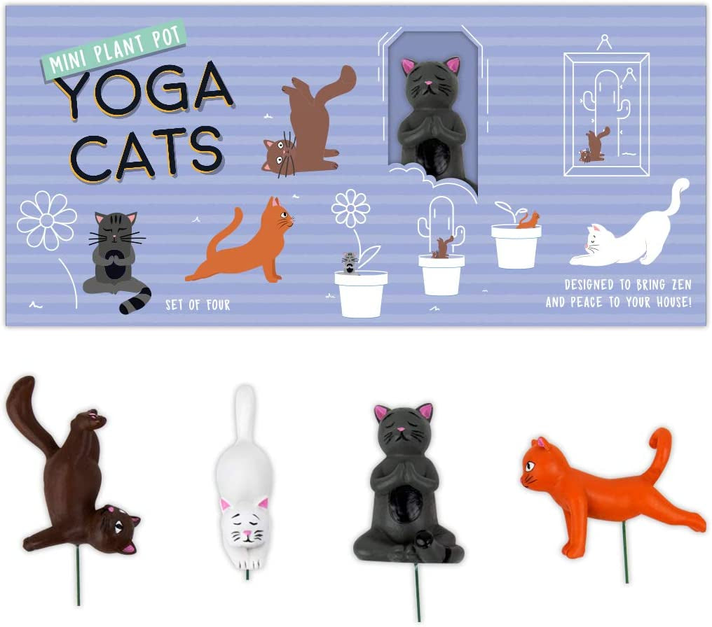 Gift Republic Mini-bloempot Yoga Katten, Veelkleurig, 1