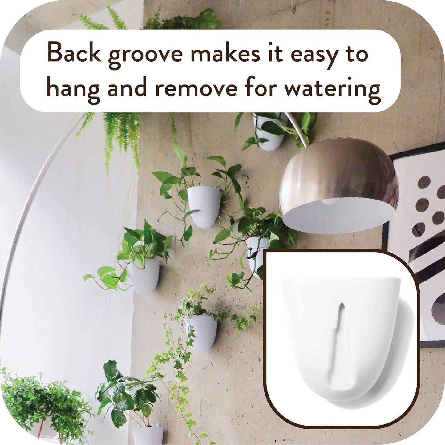 Virgo zelfwatergevende muurpotten (set van 6) - eenvoudig water te geven en te installeren - lichtgewicht - creëer uw eigen verticale tuin - muurpotten voor kamerplanten