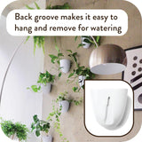 Virgo zelfwatergevende muurpotten (set van 6) - eenvoudig water te geven en te installeren - lichtgewicht - creëer uw eigen verticale tuin - muurpotten voor kamerplanten